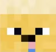 coolishllama69